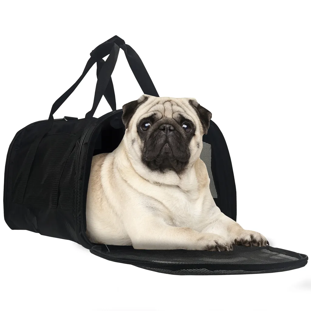 Dog / cat carrying bag  photo 1