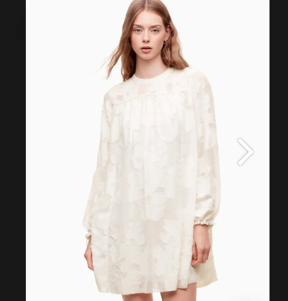 Aritzia dress  photo 1