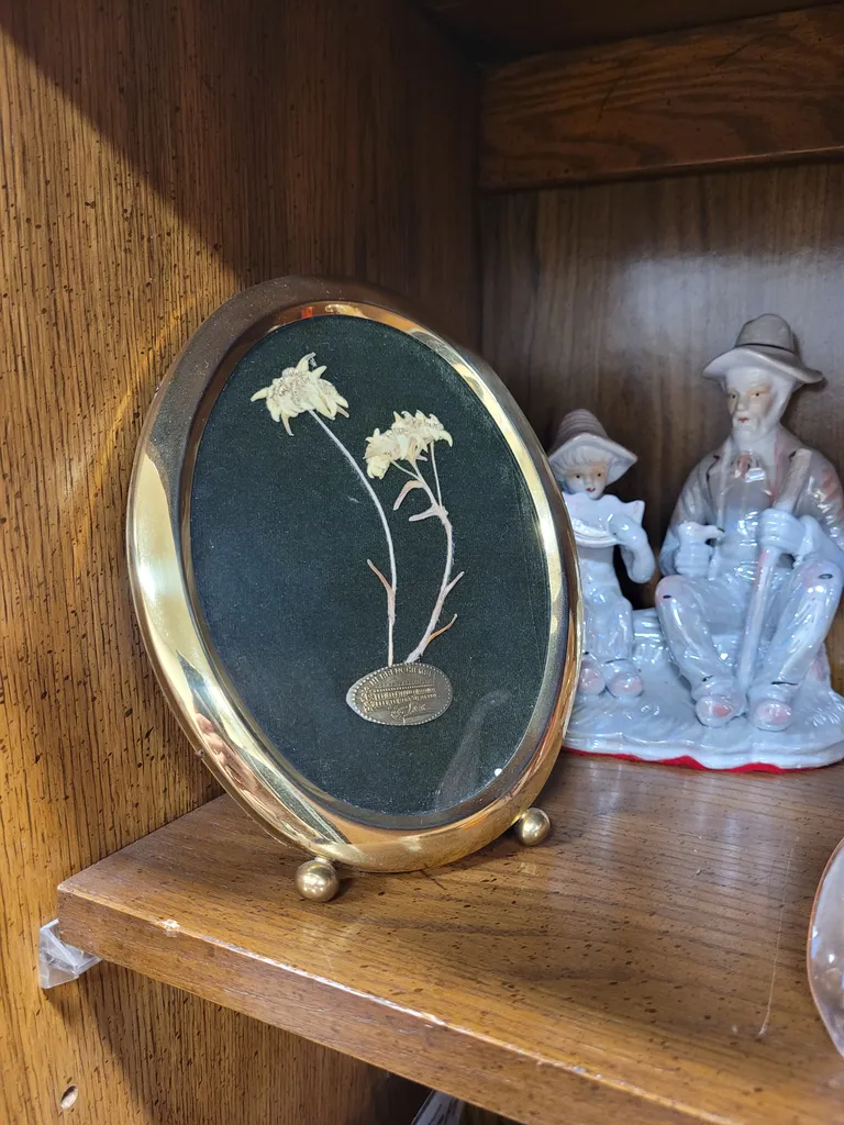 Vintage framed souvenir  photo 1