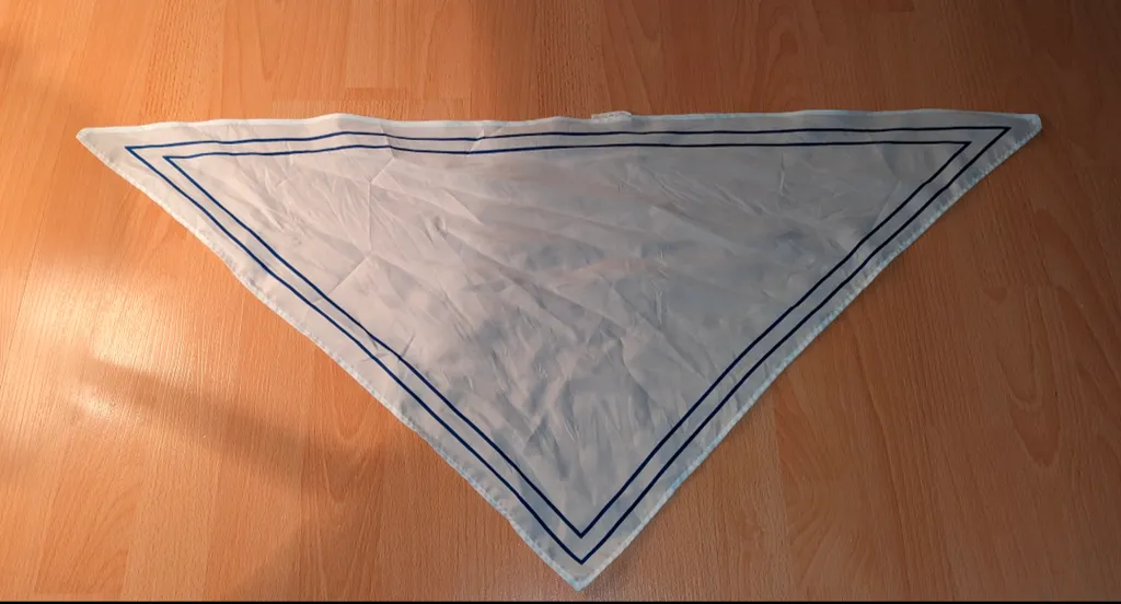 White Neck Scarf with Blue Trim photo 1