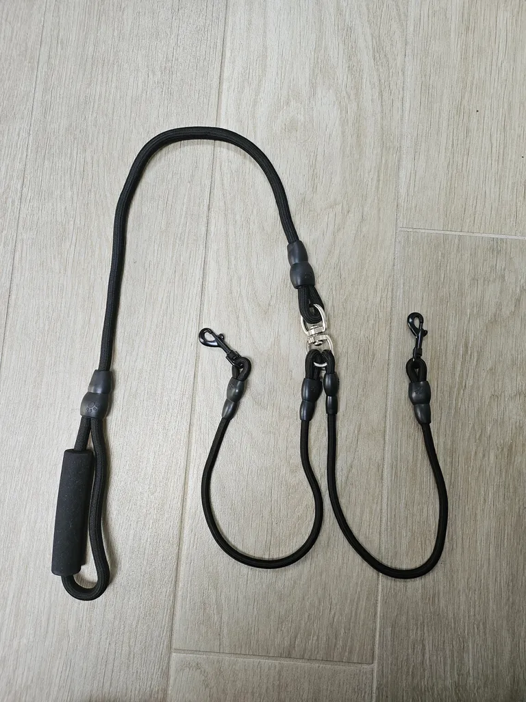 Leash for two dogs photo 1