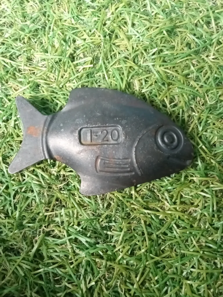 Lucky iron fish  photo 1