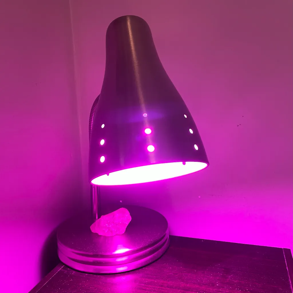 Glow Up? Grow Up! photo 1