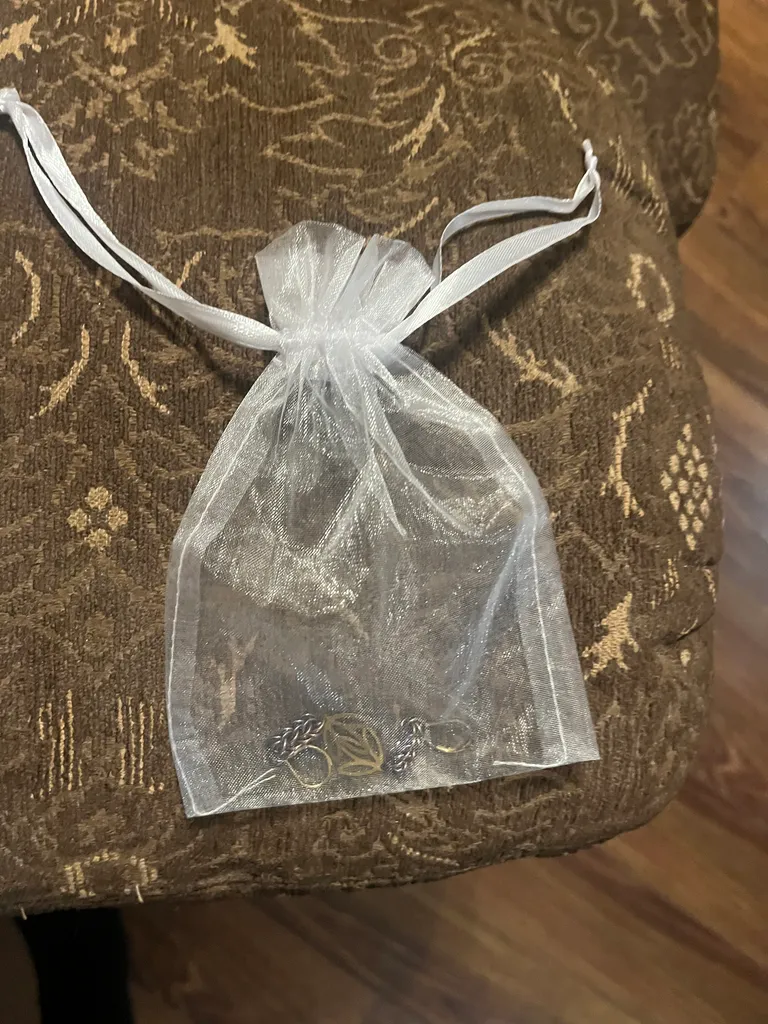 Earrings #BNIP photo 1