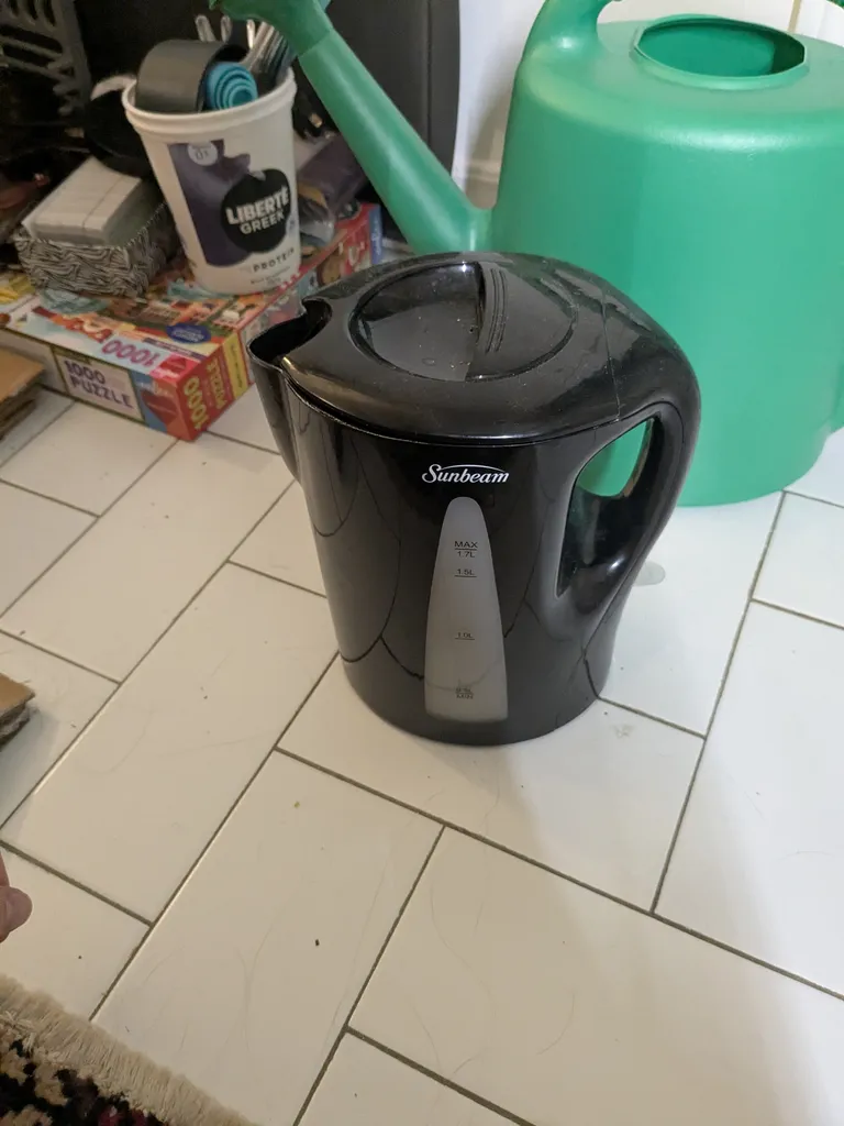 electric kettle photo 1