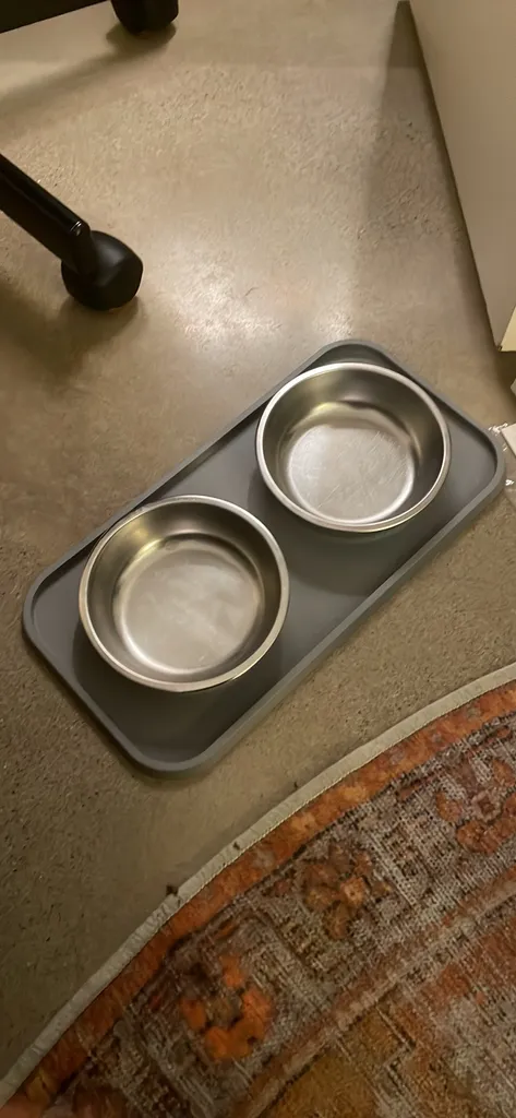 Stay-Put Bowl and Mat Set - Silicone and Stainless Steel photo 1