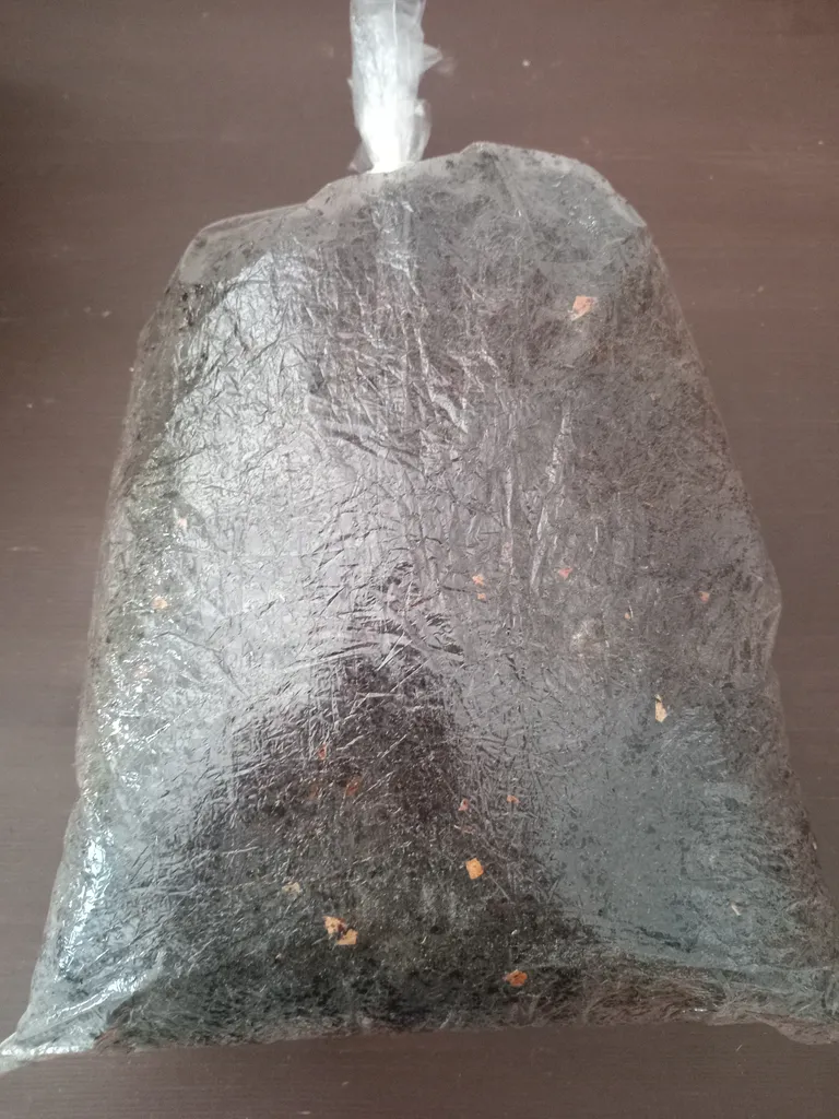 Worm Castings  FREE photo 1