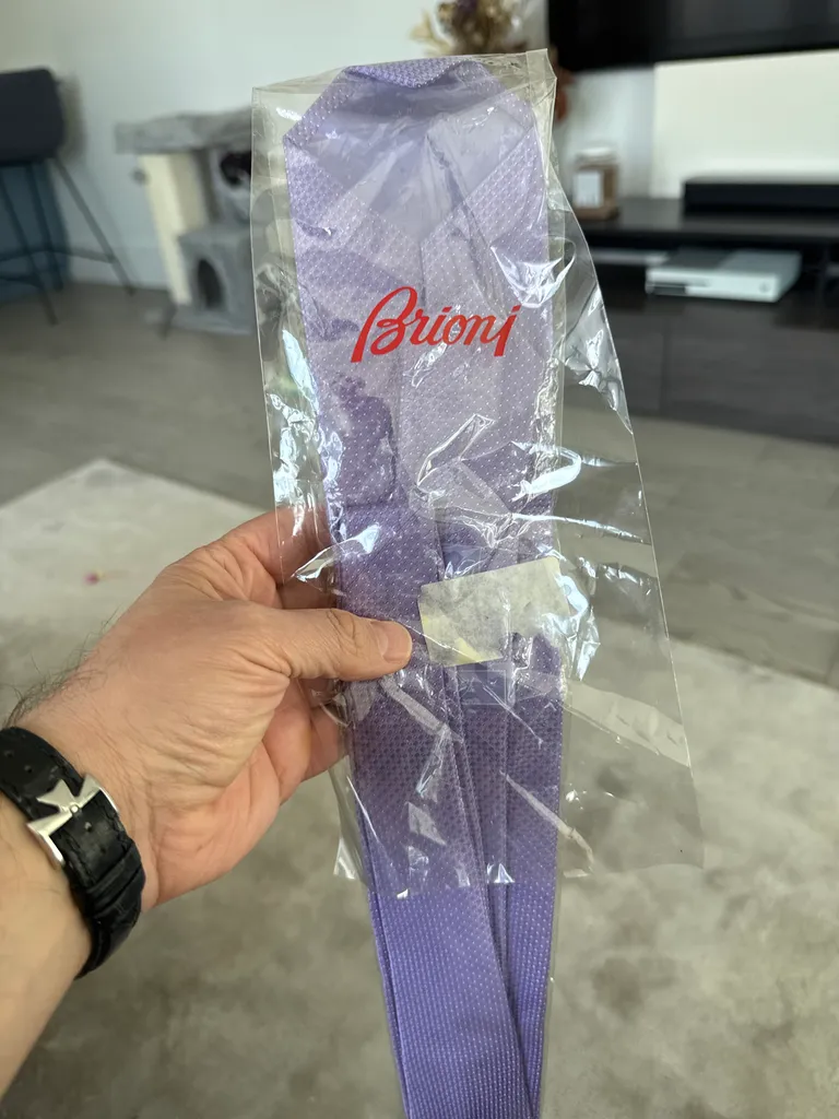 Tie (brioni)  photo 1