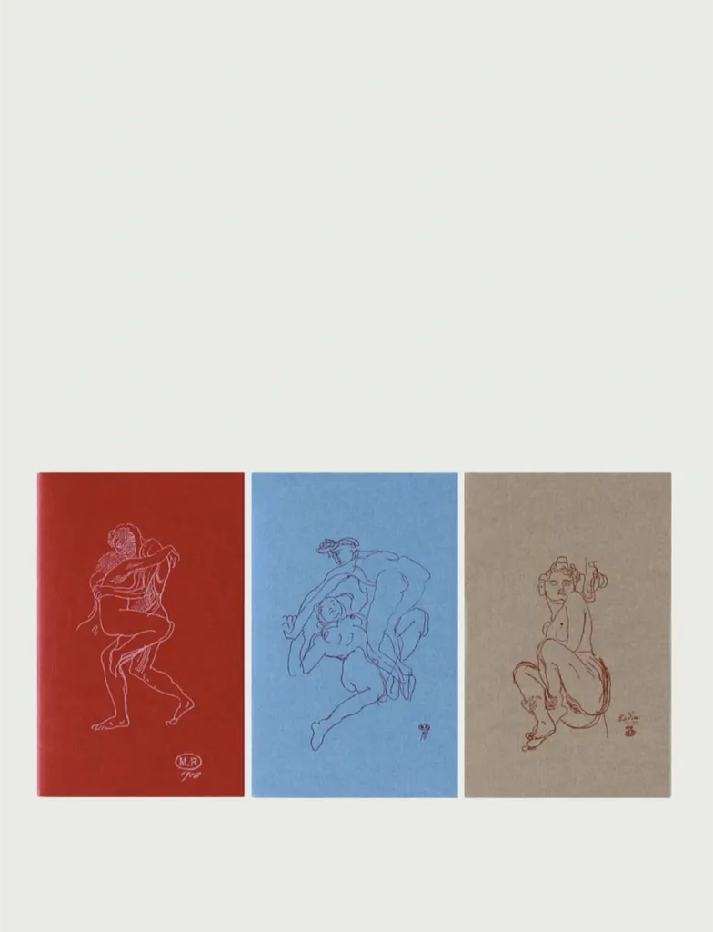 Beautiful Set of French Notebooks  photo 1