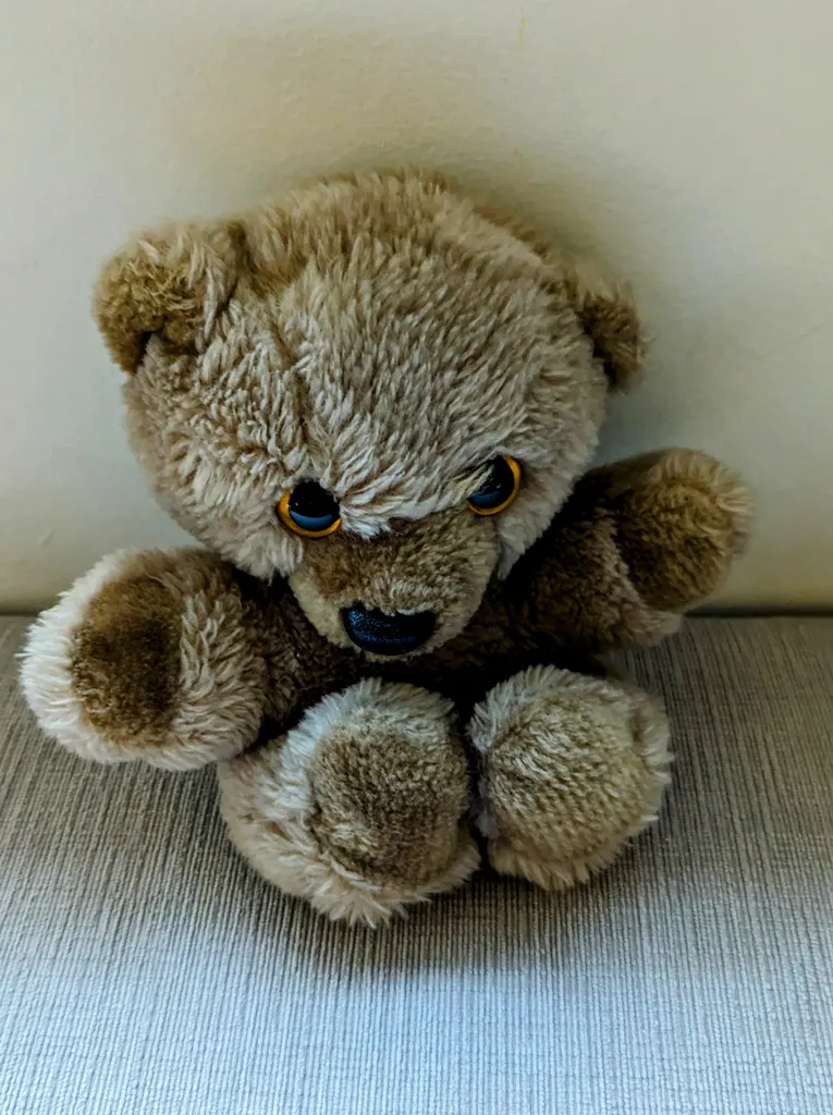 Teddy Bear Plush Toy  photo 1