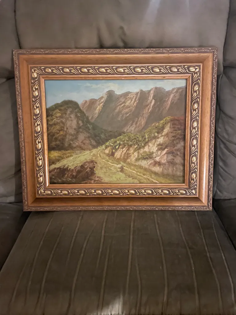 FWT framed art - mountains  photo 1