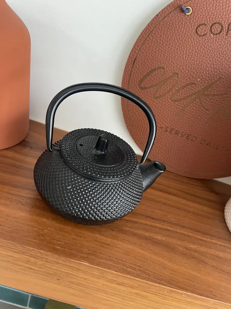 Japanese cast iron loose leaf tea pot photo 1