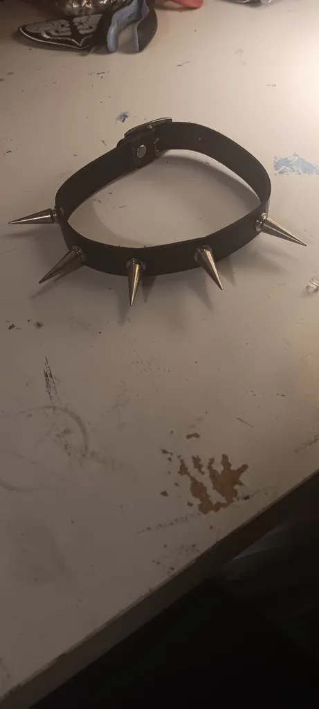 Spiked Collar  photo 1