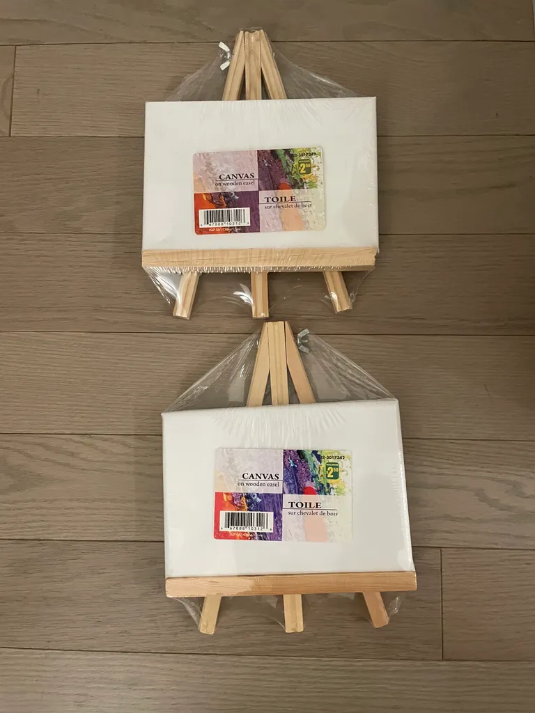 BNIP mini canvas on easel  photo 1