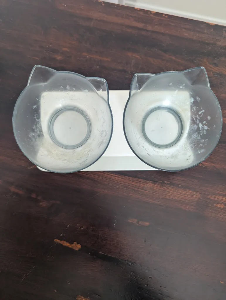 Tilted cat feeding bowls photo 1