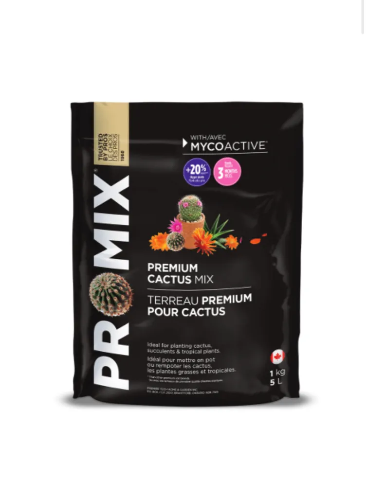 Cactus soil  photo 1