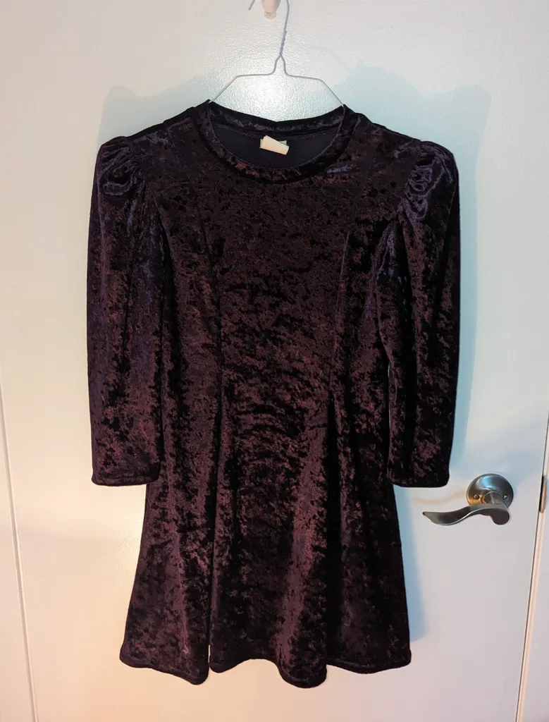 Elvira Vali Velvet Dress - Size XXS photo 1