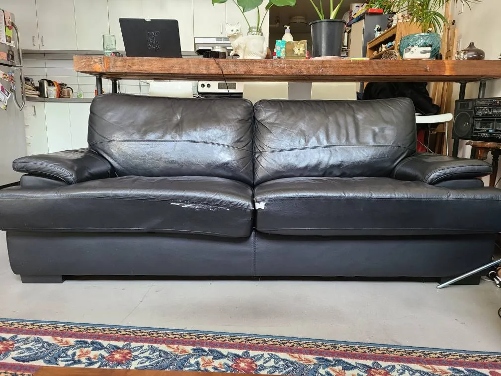 Free! Black Leather Pull Out Couch photo 1