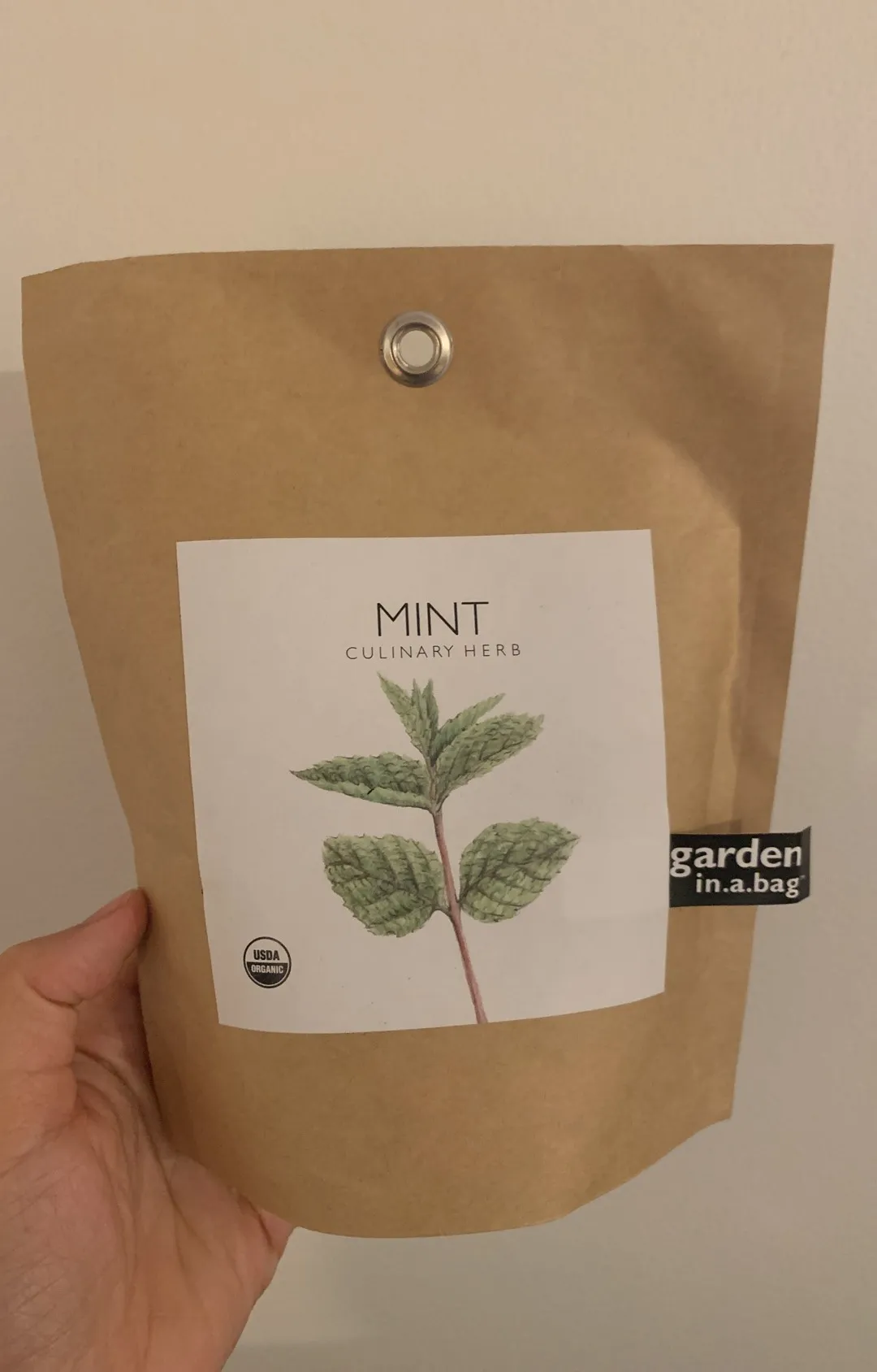 Grow Your Own Mint photo 1