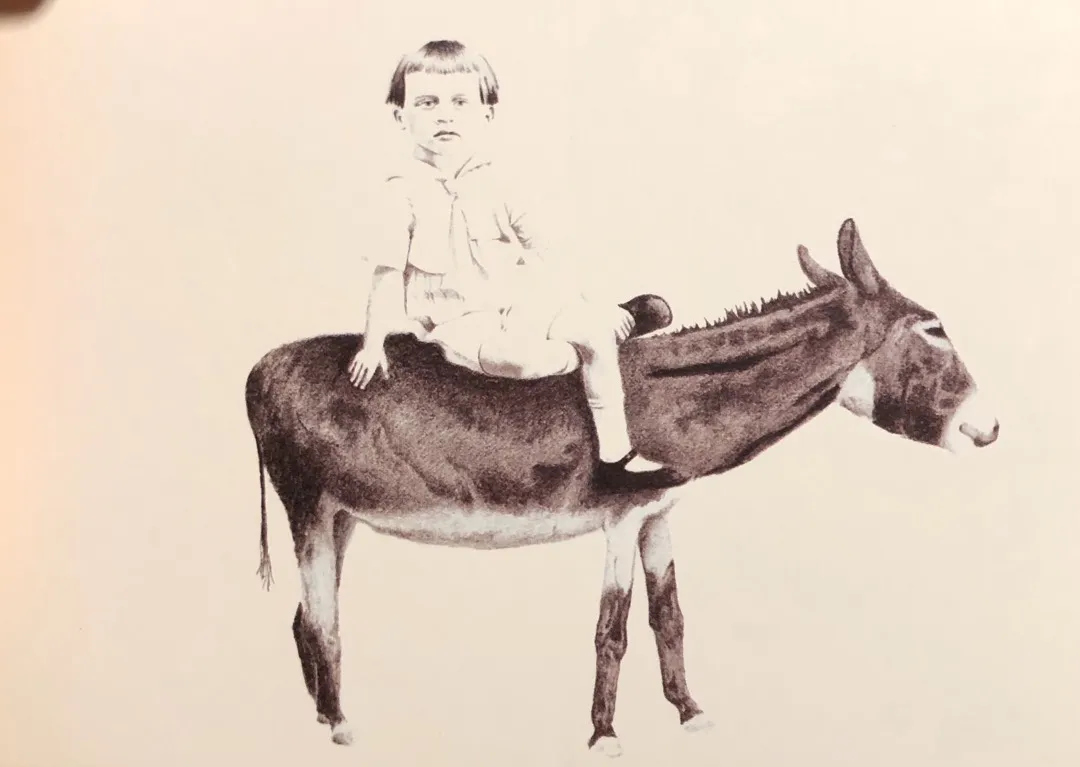 Thick Postcard photo 1