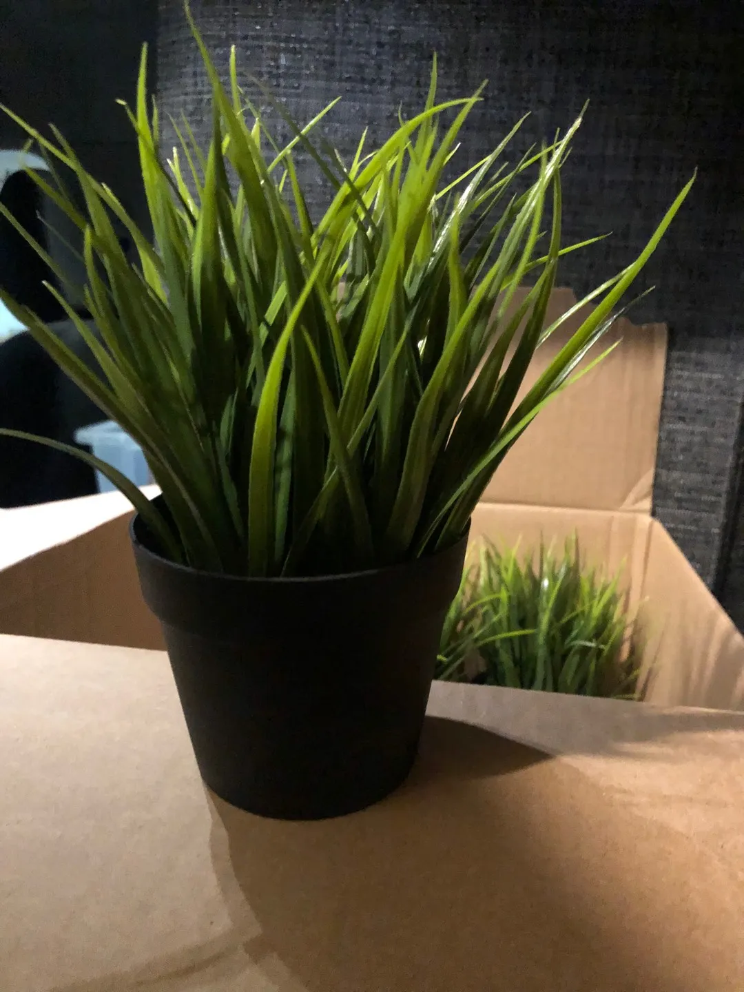 Small Fake Plants photo 1