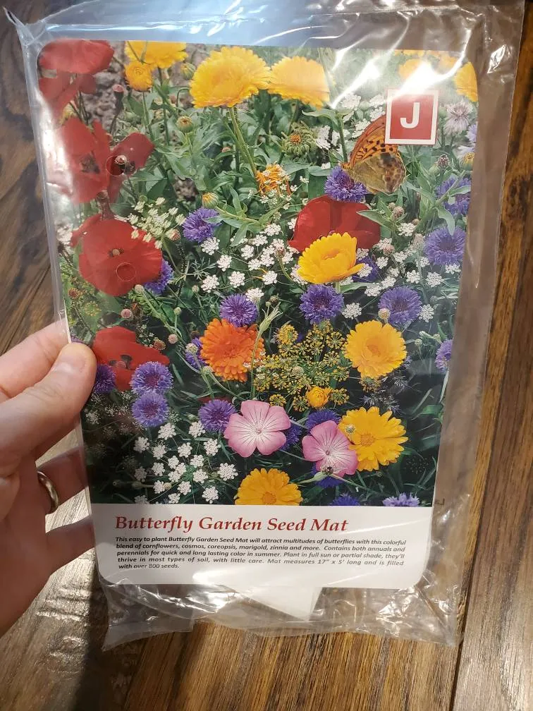Butterfly Seed Mat photo 1