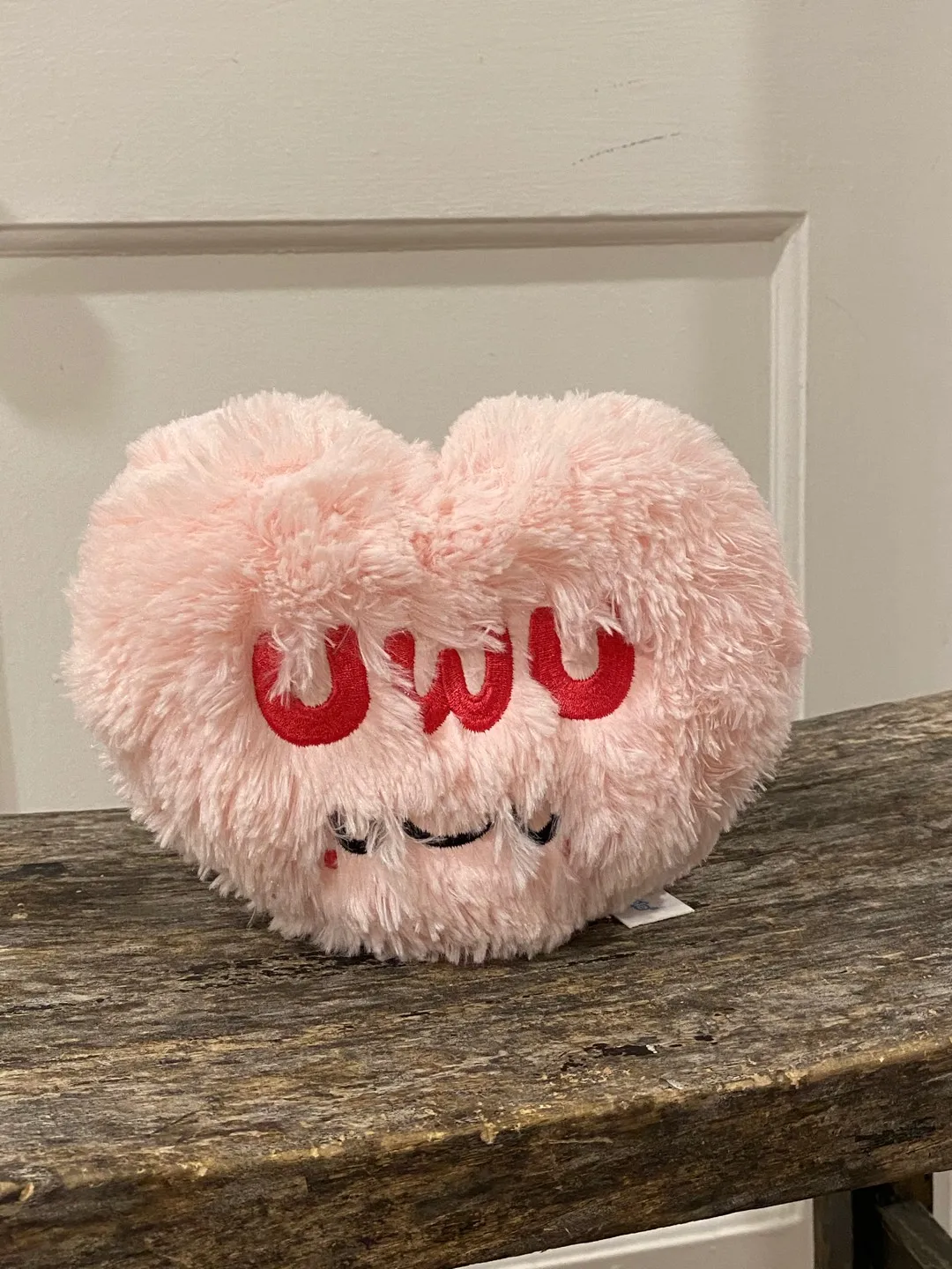 Fuzzy Mini Pillow ☁️ photo 1