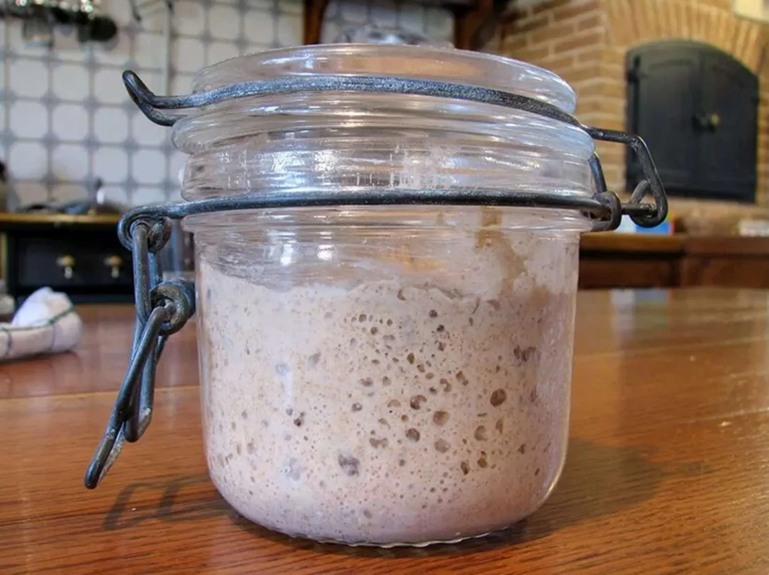 Sourdough starter photo 1