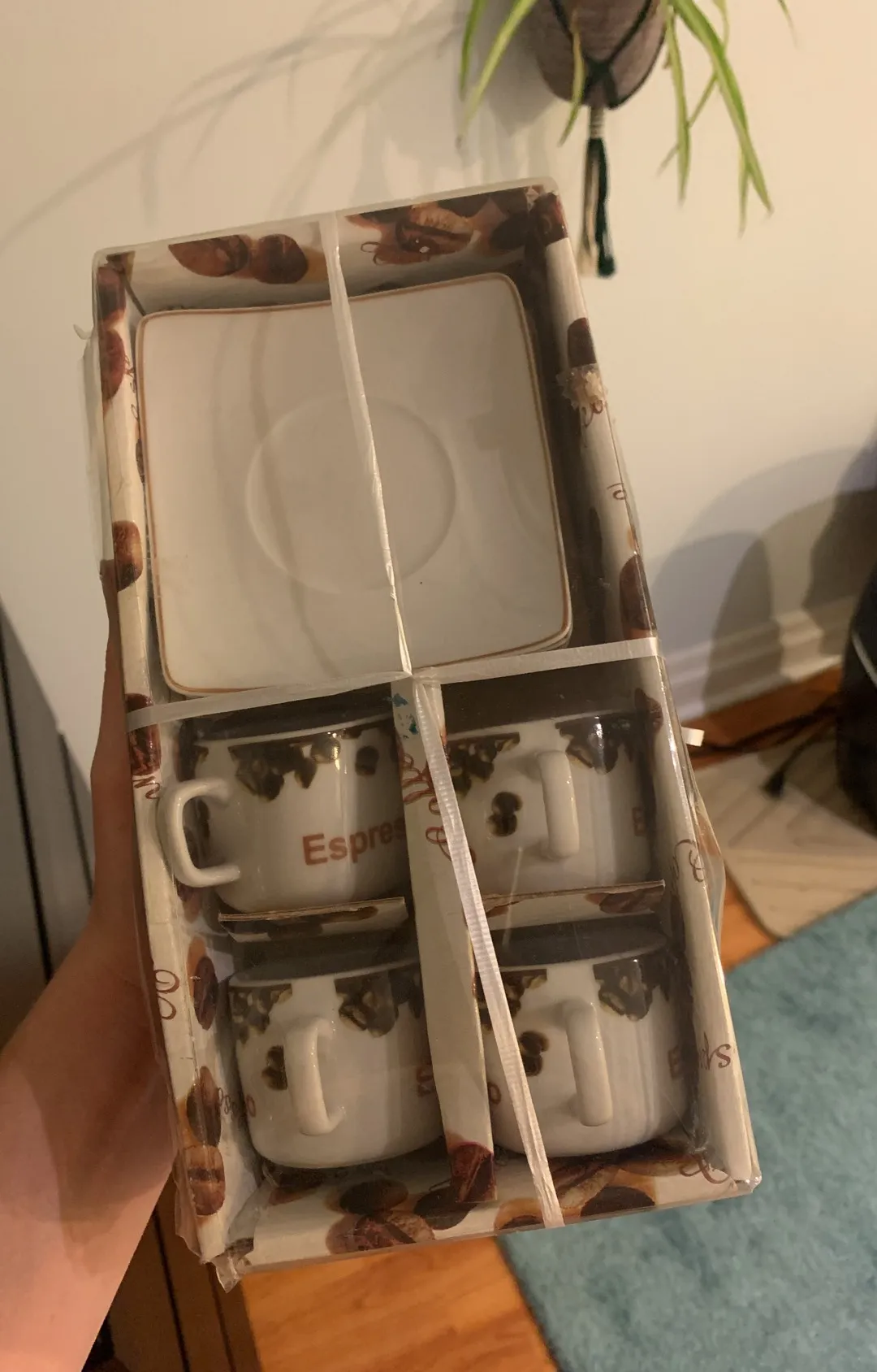 BNWT Espresso Cups And Plates photo 1