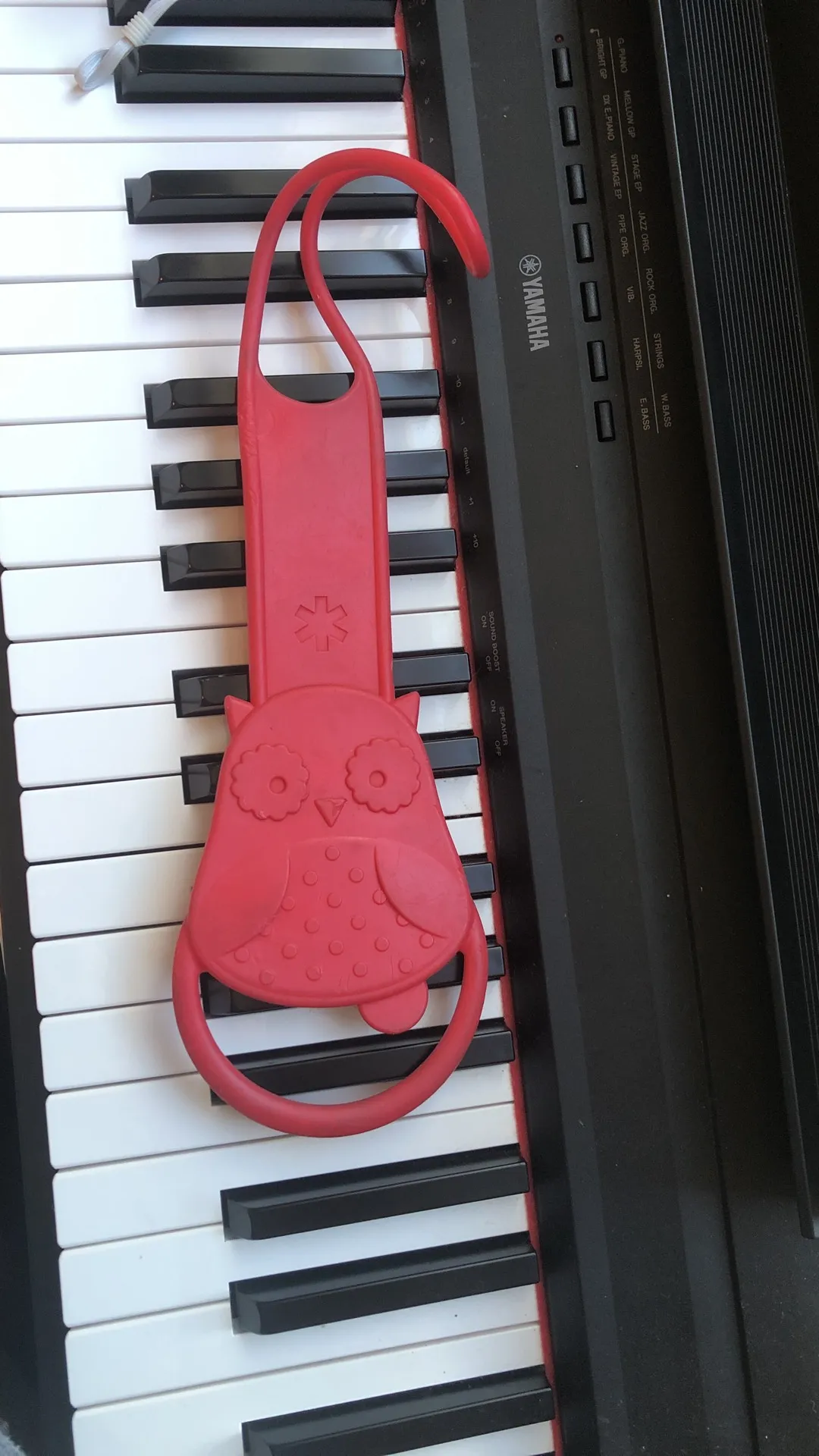 Walk Along Stroller Holder photo 1