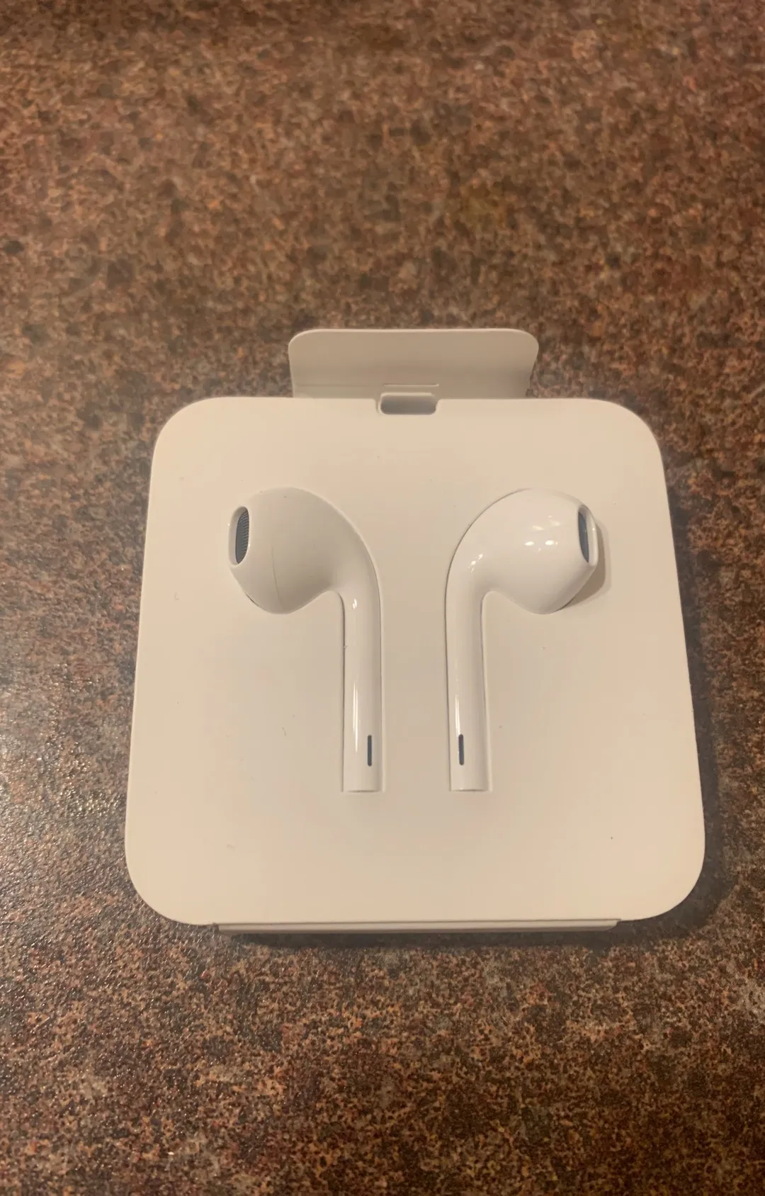 BNIB Apple Corded Headphones (Lighting Plug) photo 1