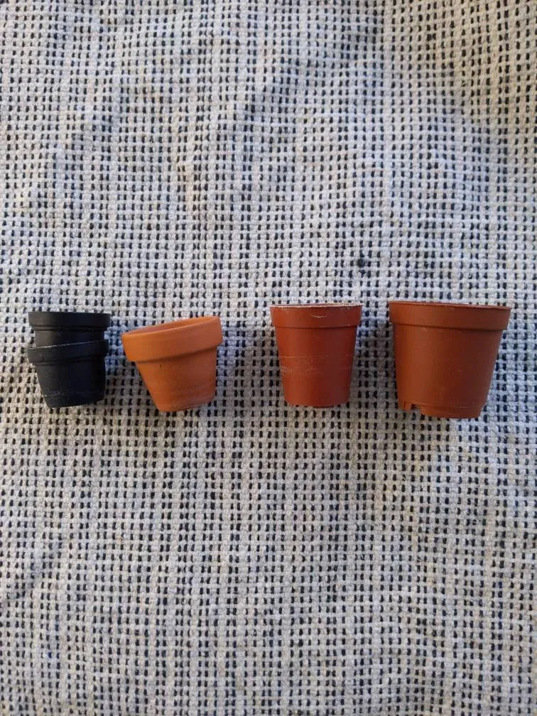 Tiny Plant Pots photo 1