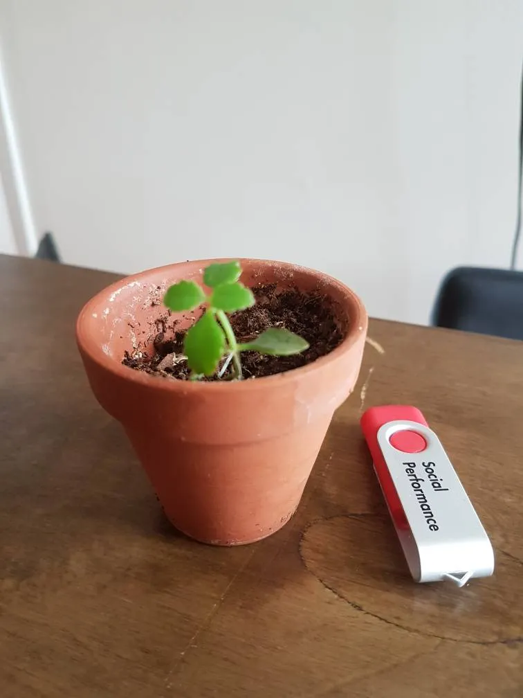 Baby Mother Of Thousands photo 1