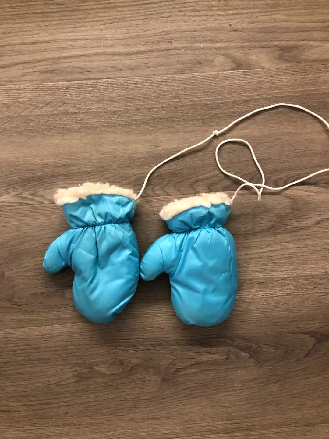 Winter Mittens photo 1