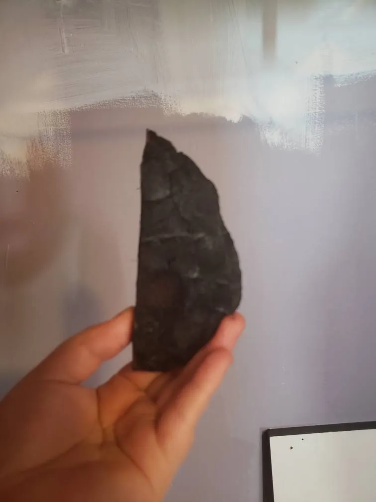 Burnt Wood For Woodbine photo 1