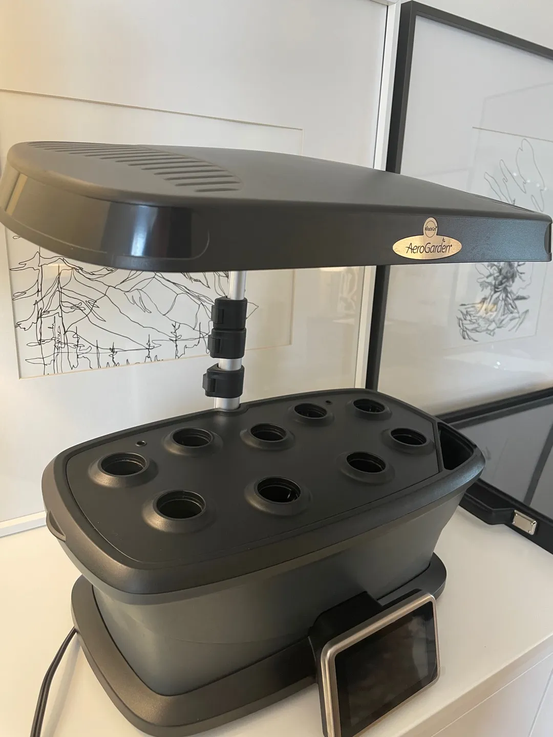 AreoGarden 🍃 ❤️ photo 1