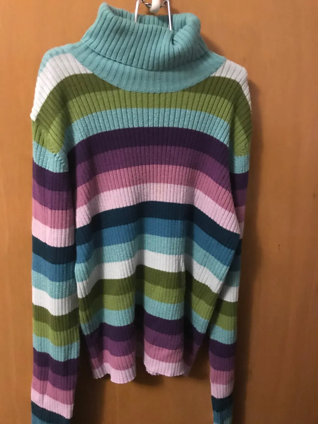 Multicolour Turtle Neck photo 1