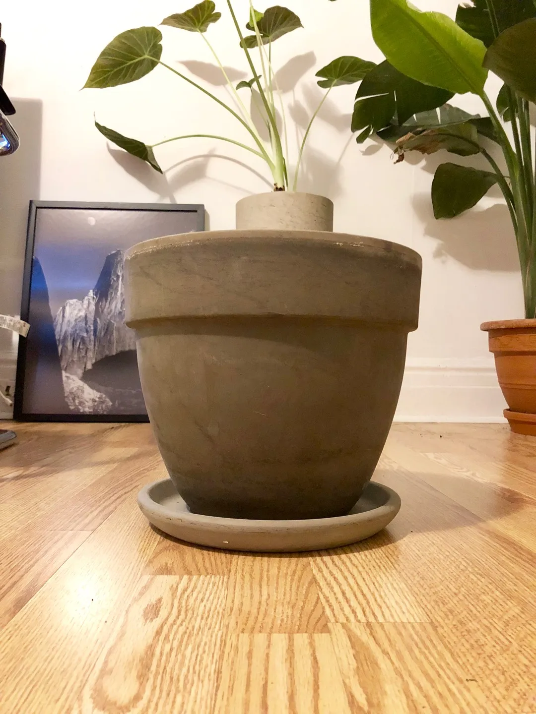 Big Grey Ceramic Planter photo 1
