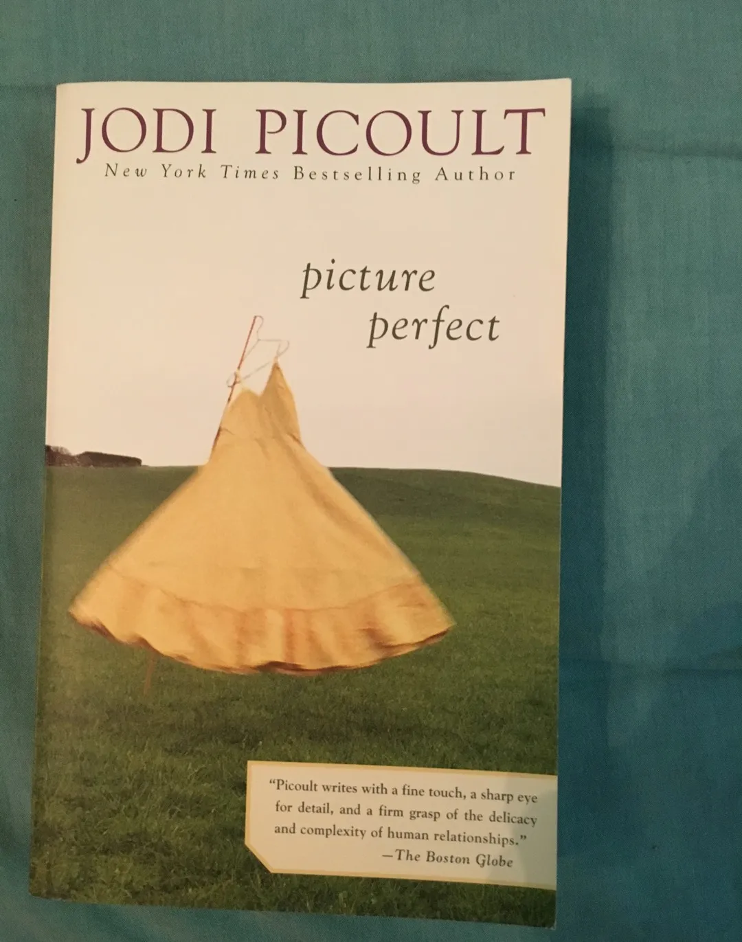 Picture Perfect By Jodi Picoult photo 1