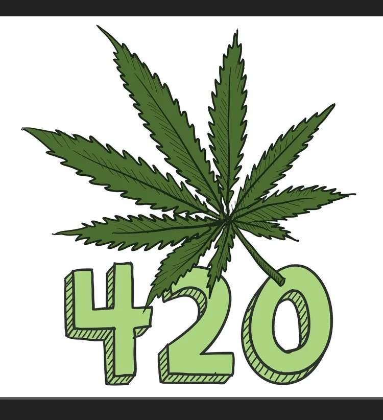 Hand Trimmed Cannabis photo 1