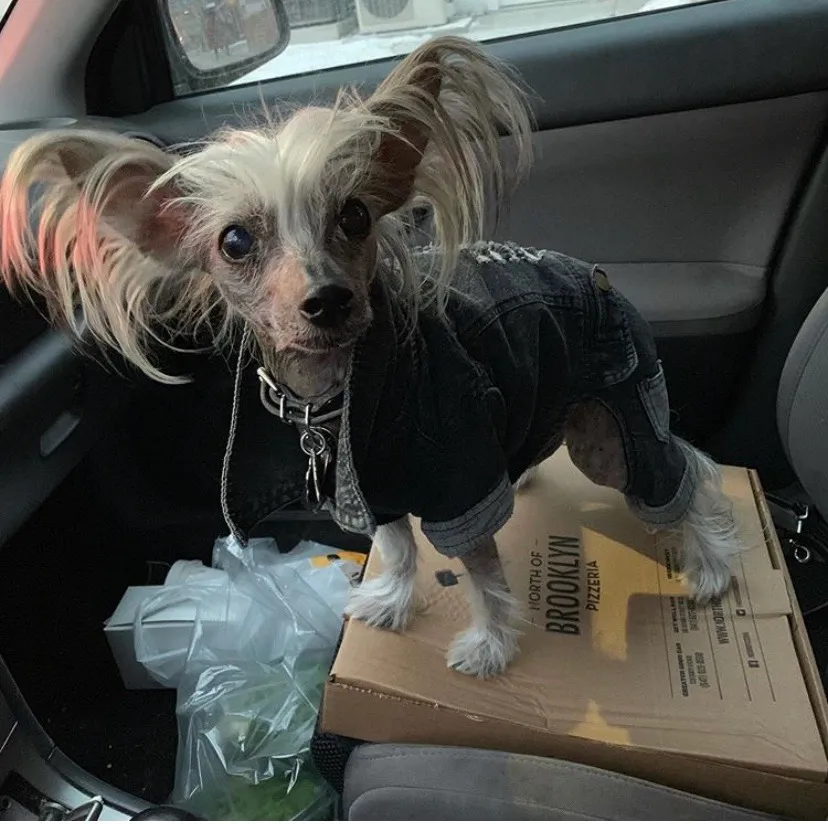 Super Random ISO List photo 1