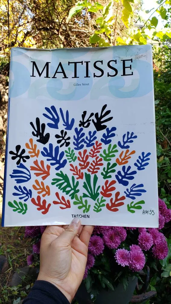 FREE Matisse Book Jacket photo 1