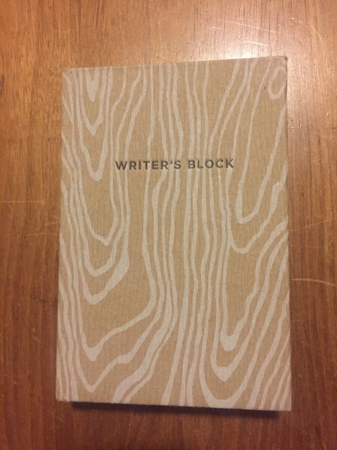 Unlined Small Notebook photo 1