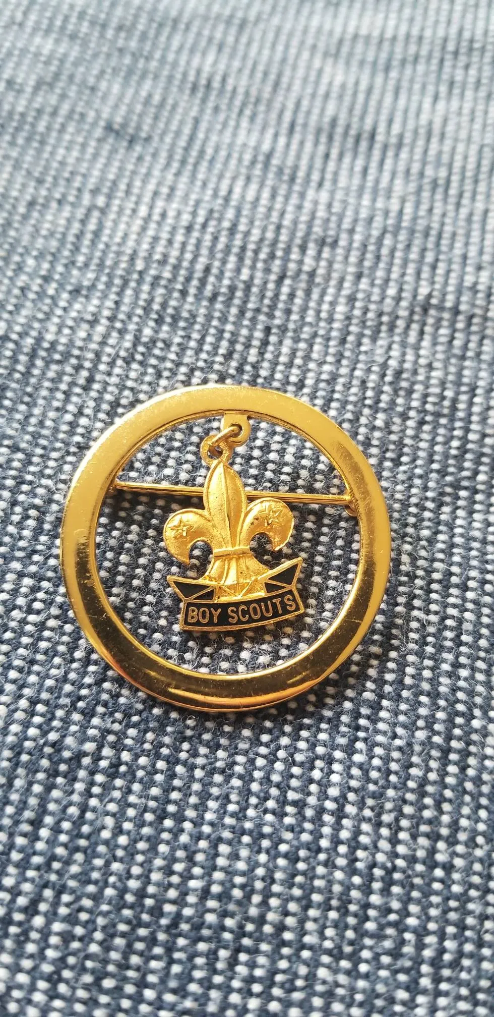 Boy Scout Pin photo 1