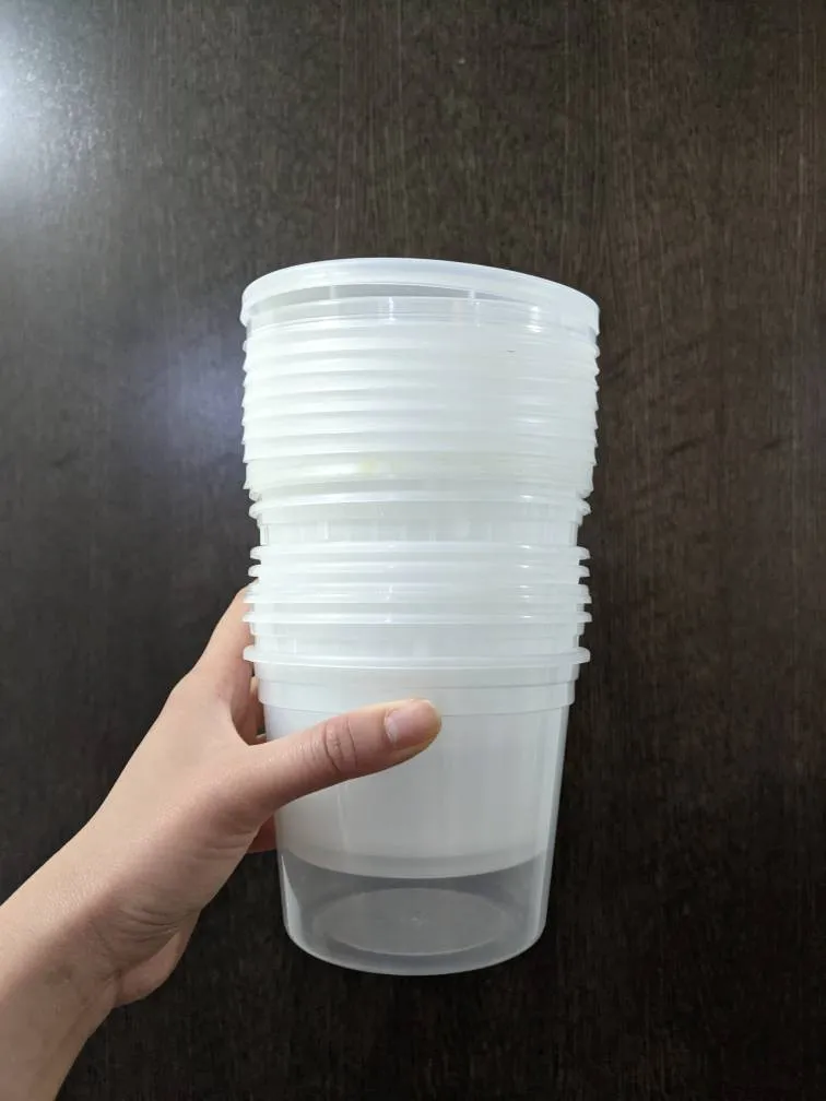 Free Plastic Soup Containers photo 1