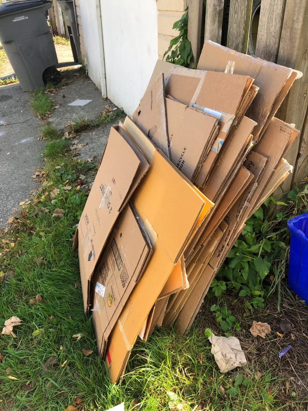 Free Moving Boxes photo 1