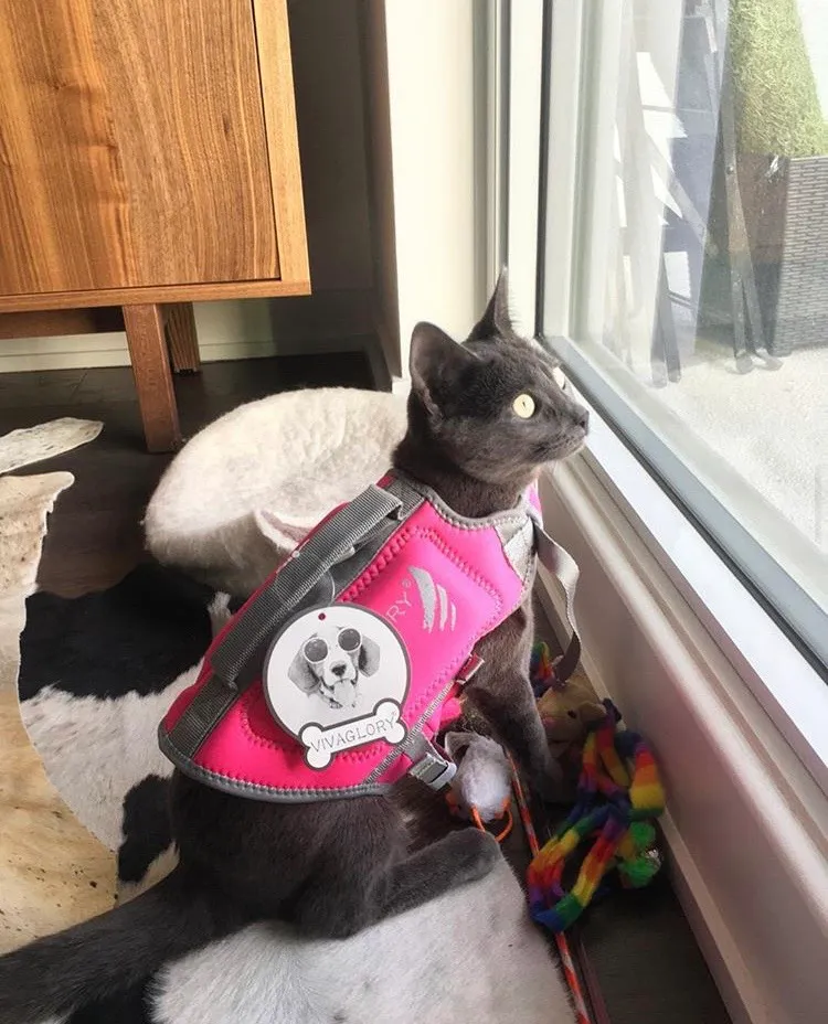 Pet life Jacket XS photo 1