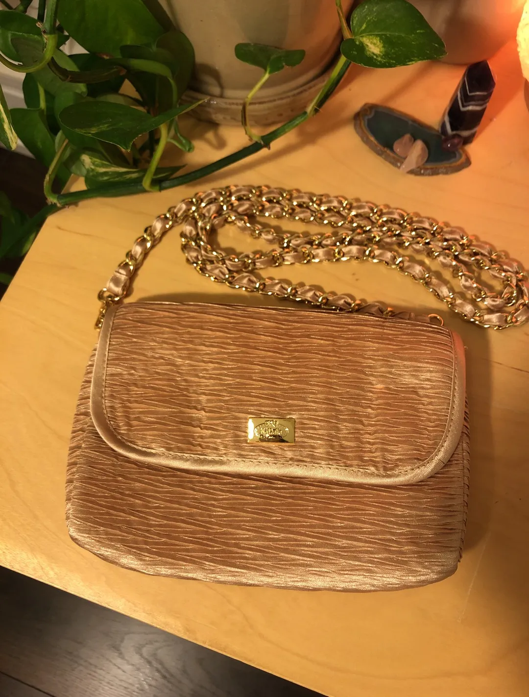 Brand New Gold Chain Purse photo 1