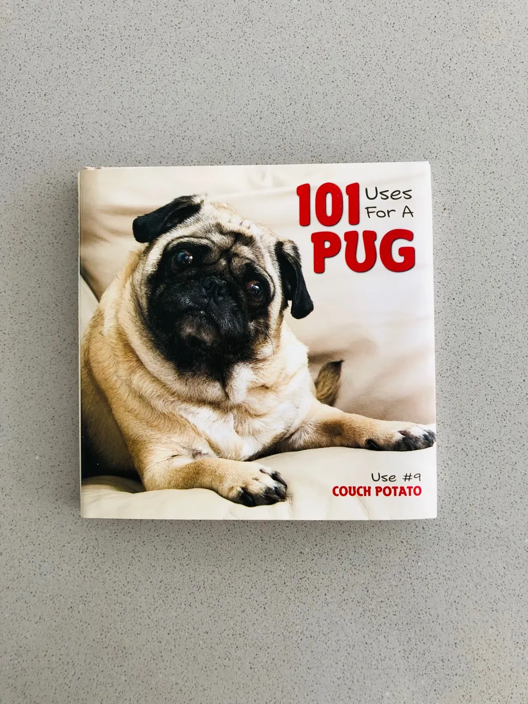 101 Uses for a Pug Book photo 1