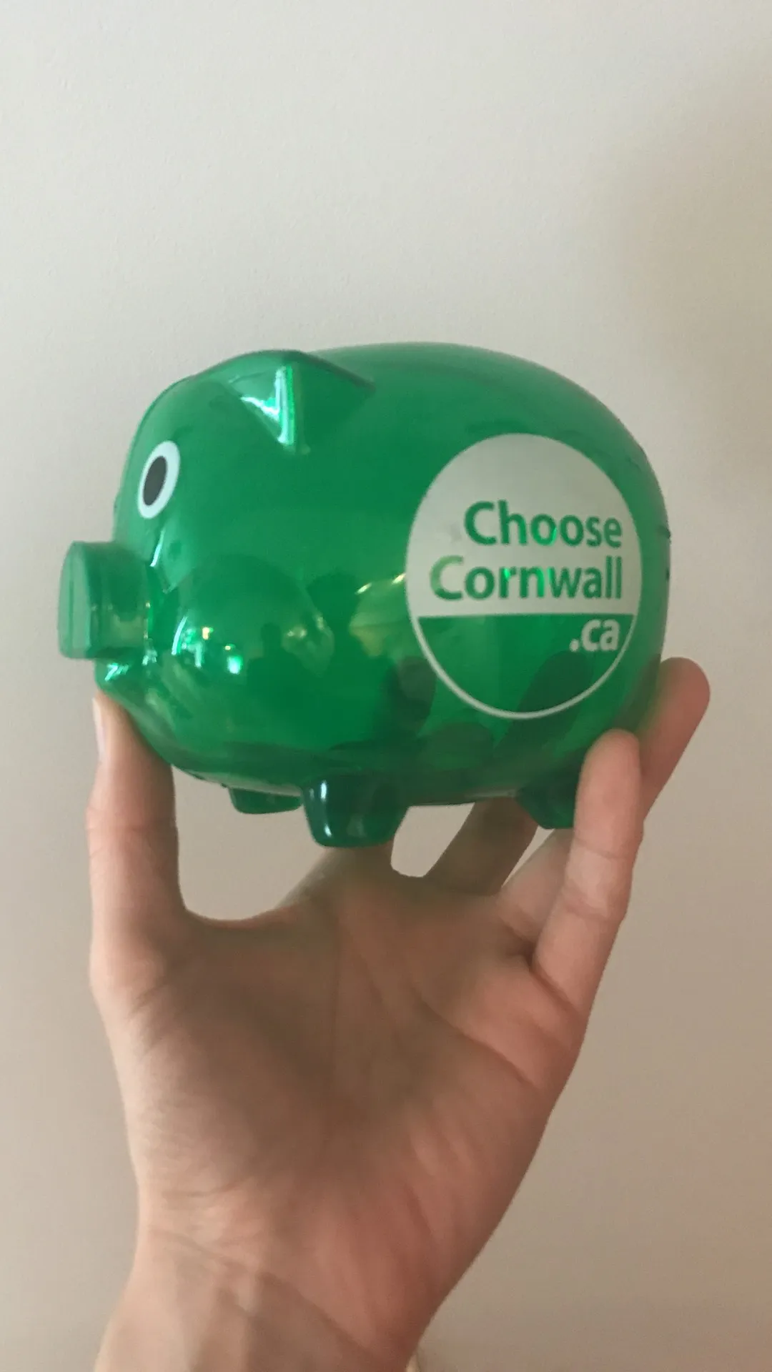 “Choose Cornwall” piggy bank photo 1